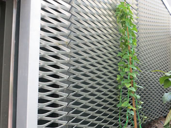 One raised expanded metal mesh is used as garden fencing, and the plant grow up on it.